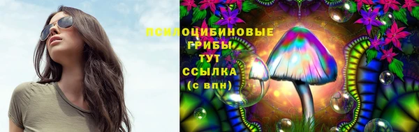 spice Михайловка