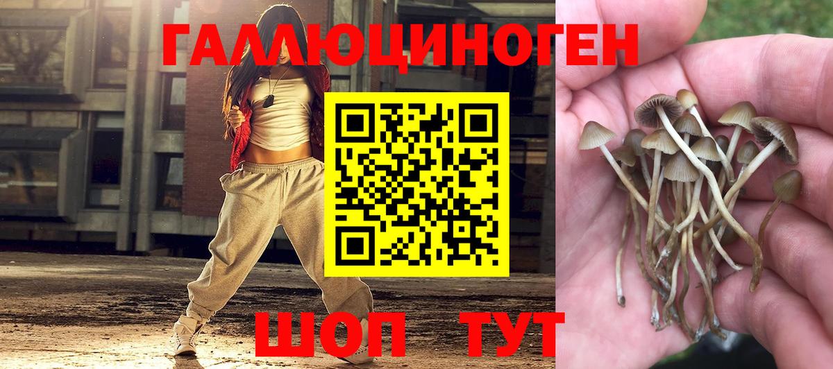 Галлюциногенные грибы мицелий  Галлюциногенные грибы Psilocybine cubensis  Ессентуки  Вход с VPN 