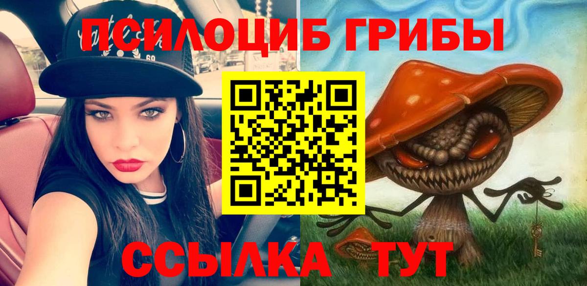 Галлюциногенные грибы прущие грибы Ессентуки