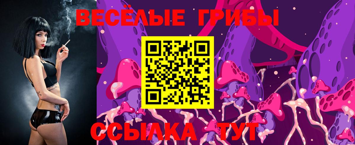 Псилоцибиновые грибы Magic Shrooms Ессентуки