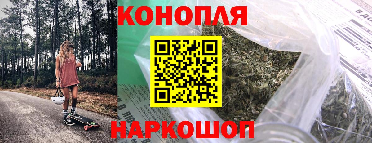 Шишки марихуана сатива Ессентуки